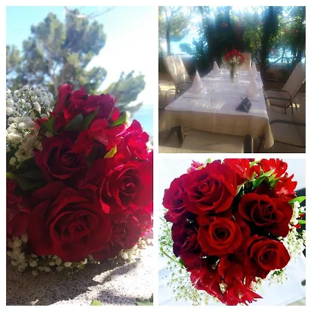 Dalmacija Bed & Breakfast Omis