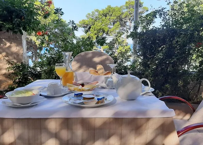 Panzió Dalmacija 4*